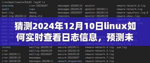 2024年Linux系统实时查看日志信息的方法预测与探讨