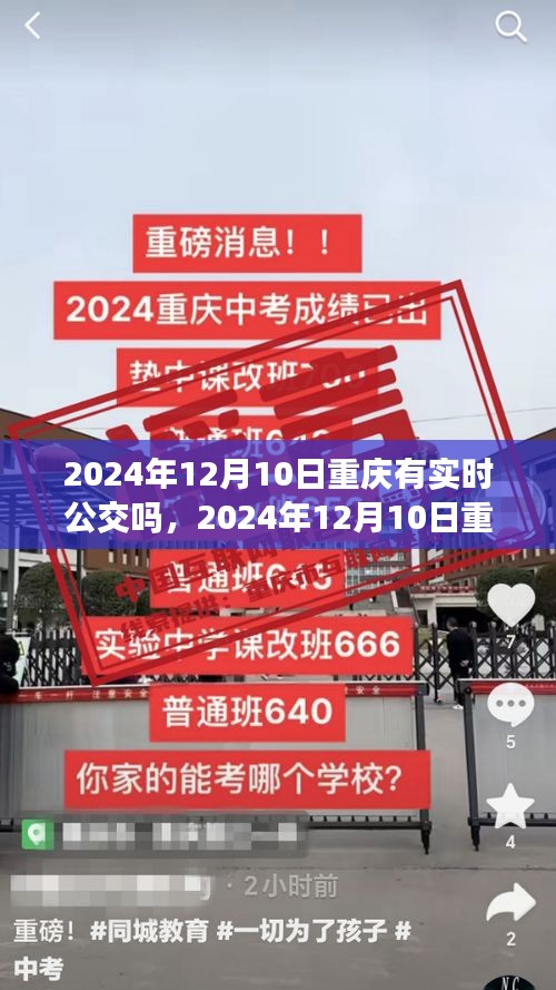 重庆实时公交查询指南，从新手到进阶的详细步骤（至2024年12月）