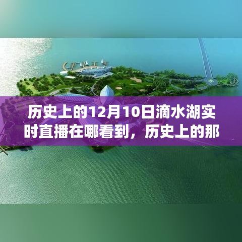 历史上的美好瞬间，滴水湖直播回顾与探索内心宁静之旅