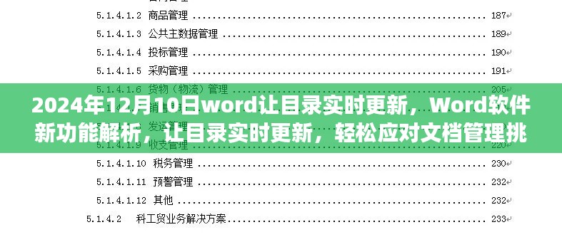 Word软件新功能解析，让目录实时更新，应对文档管理挑战（2024年12月）