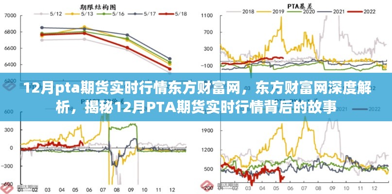 东方财富网独家解析，揭秘12月PTA期货实时行情背后的故事与深度洞察