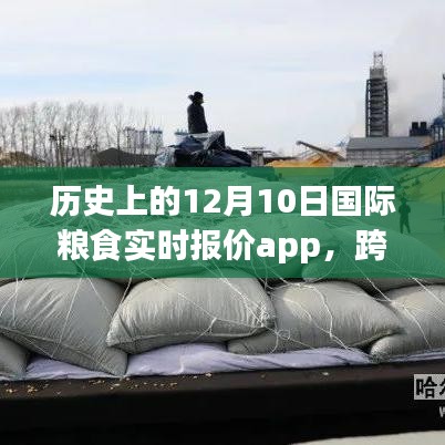 跨越时空的粮食实时报价app，一部关于十二月十日国际粮食行业的励志成长史