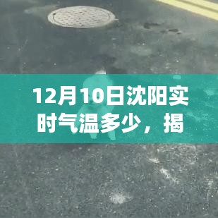 揭秘沈阳小巷深处的温暖角落，特色小店与实时气温故事（12月10日）