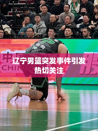 辽宁男篮突发事件引发热切关注