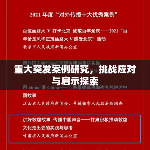 重大突发案例研究，挑战应对与启示探索