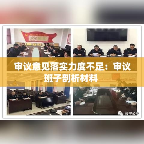 审议意见落实力度不足：审议班子剖析材料 