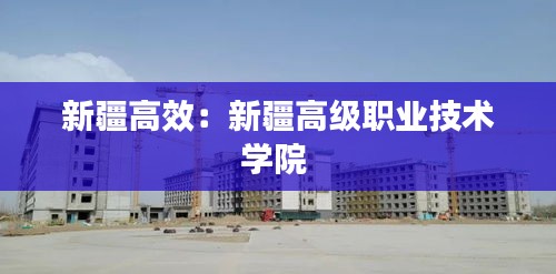 新疆高效：新疆高级职业技术学院 