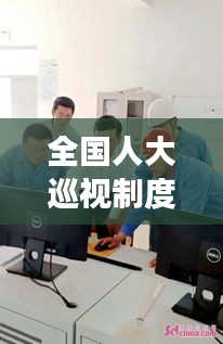 全国人大巡视制度落实中的关键作用，监督与引领的双重角色