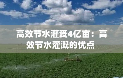 高效节水灌溉4亿亩：高效节水灌溉的优点 