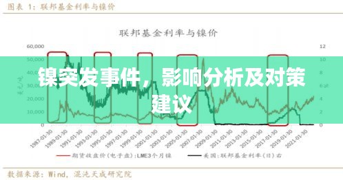 镍突发事件，影响分析及对策建议