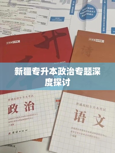 新疆专升本政治专题深度探讨