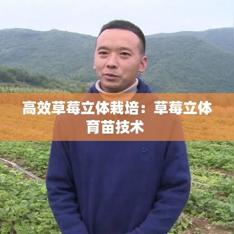 高效草莓立体栽培：草莓立体育苗技术 