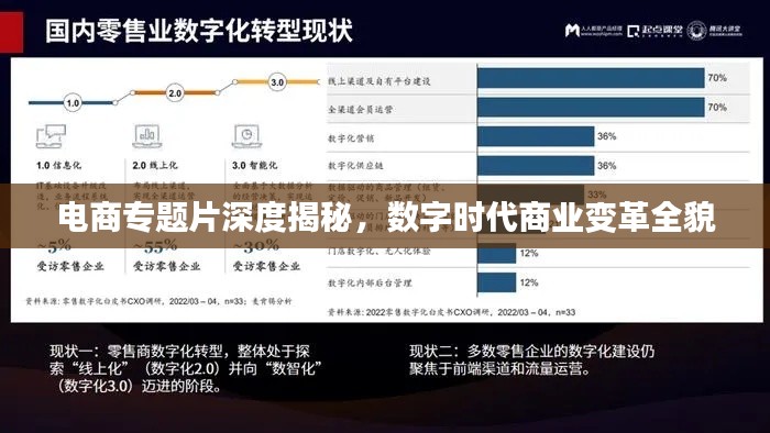 电商专题片深度揭秘，数字时代商业变革全貌