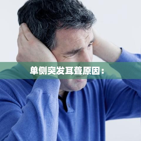 单侧突发耳聋原因： 