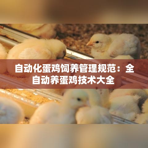 自动化蛋鸡饲养管理规范：全自动养蛋鸡技术大全 