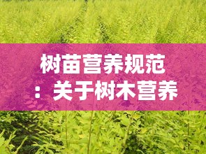 树苗营养规范：关于树木营养的研究问题 