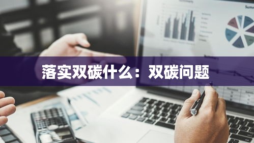 落实双碳什么：双碳问题 