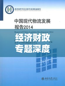 经济财政专题深度解析，现代经济财政的核心议题与挑战探究