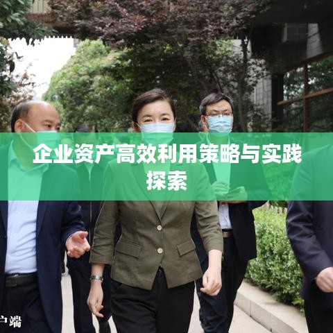 企业资产高效利用策略与实践探索