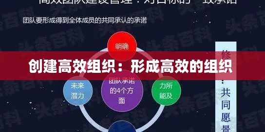 创建高效组织：形成高效的组织 