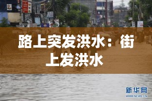 路上突发洪水：街上发洪水 