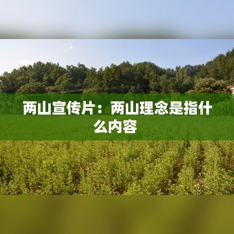 两山宣传片：两山理念是指什么内容 