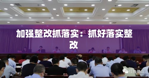 加强整改抓落实：抓好落实整改 