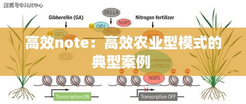 高效note：高效农业型模式的典型案例 