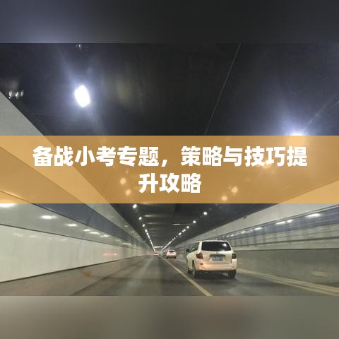 备战小考专题，策略与技巧提升攻略