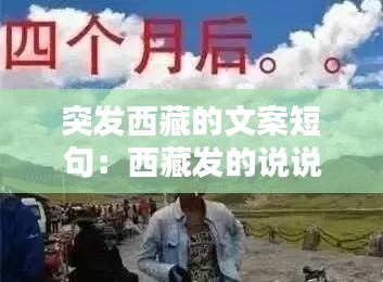 集腋成裘 第2页