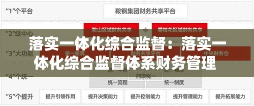 落实一体化综合监督：落实一体化综合监督体系财务管理 