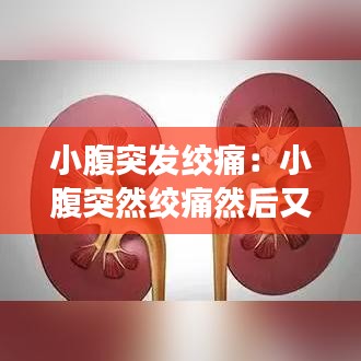 小腹突发绞痛：小腹突然绞痛然后又不痛了 