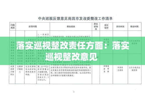 落实巡视整改责任方面：落实巡视整改意见 