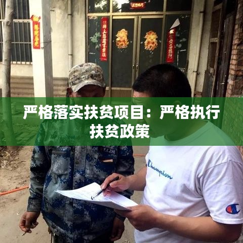 严格落实扶贫项目：严格执行扶贫政策 