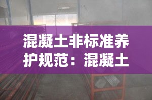 混凝土非标准养护规范：混凝土标准养护定义 