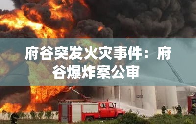 府谷突发火灾事件：府谷爆炸案公审 