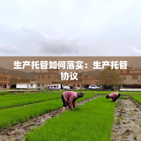 生产托管如何落实：生产托管协议 