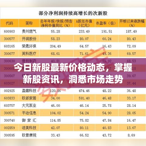 今日新股最新价格动态，掌握新股资讯，洞悉市场走势