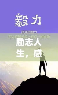 励志人生，感人台词与励志语录集锦