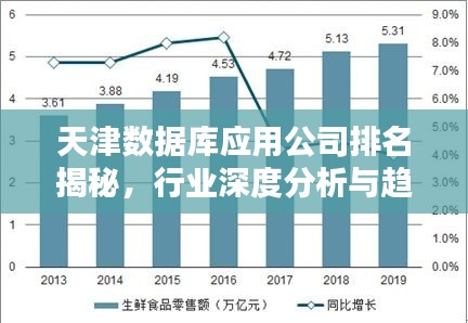 天津数据库应用公司排名揭秘，行业深度分析与趋势预测