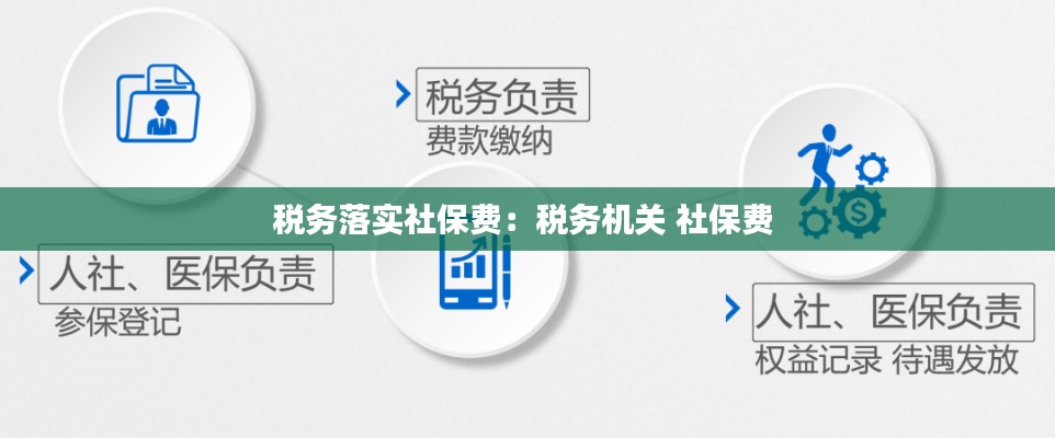 税务落实社保费：税务机关 社保费 