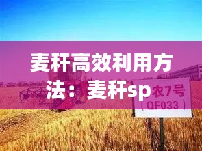 麦秆高效利用方法：麦秆sp 