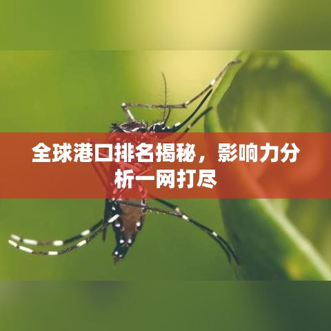 不畏权贵 第2页