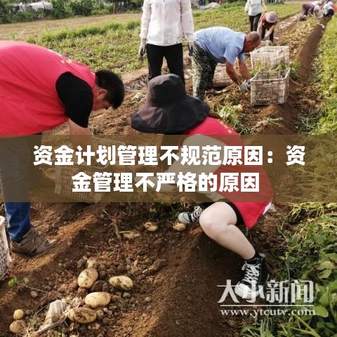 资金计划管理不规范原因：资金管理不严格的原因 