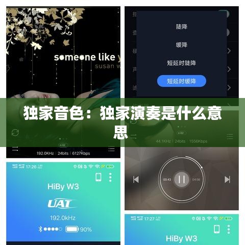 独家音色：独家演奏是什么意思 