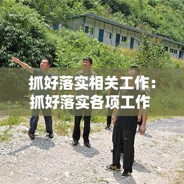 抓好落实相关工作：抓好落实各项工作 