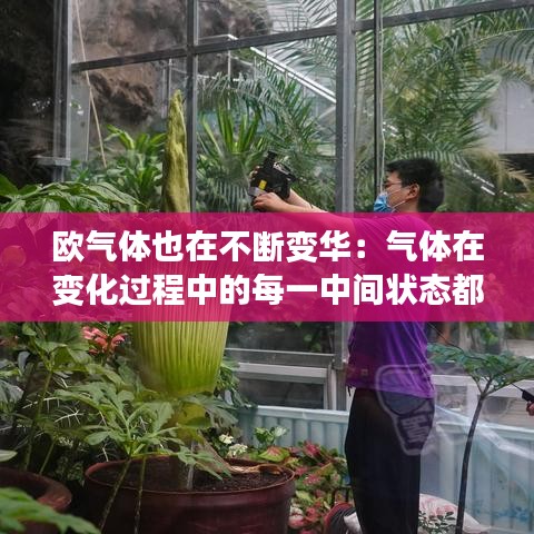 欧气体也在不断变华：气体在变化过程中的每一中间状态都无限接近 