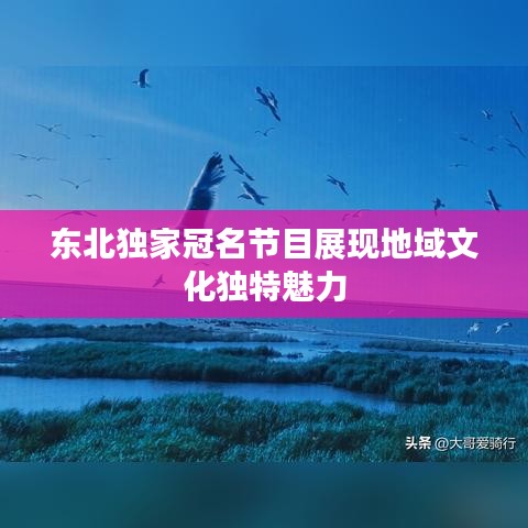 东北独家冠名节目展现地域文化独特魅力