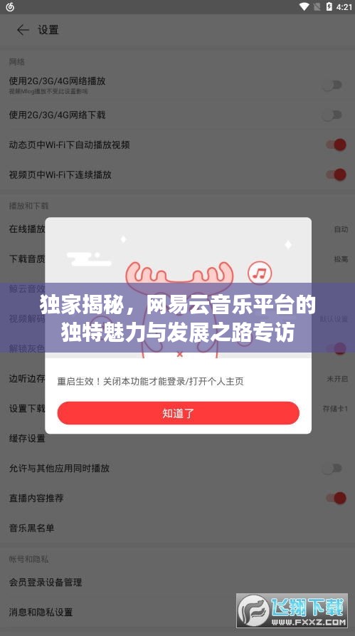 独家揭秘，网易云音乐平台的独特魅力与发展之路专访