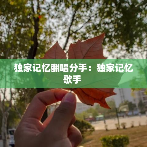 独家记忆翻唱分手：独家记忆歌手 